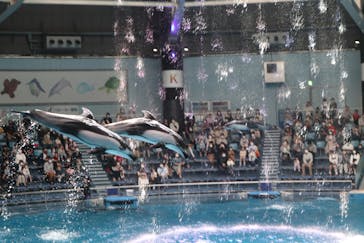 マクセル アクアパーク品川に投稿された画像（2021/4/3）