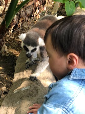 神戸どうぶつ王国に投稿された画像（2021/4/3）