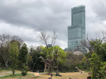 天王寺動物園に投稿された画像（2021/4/3）
