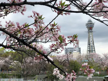 天王寺動物園に投稿された画像（2021/4/3）