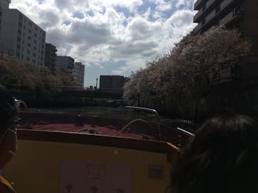 レクトラベルに投稿された画像（2021/4/3）