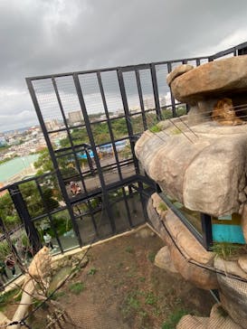 沖縄こどもの国に投稿された画像（2021/4/3）