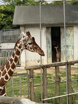 沖縄こどもの国に投稿された画像（2021/4/3）
