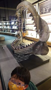 アクアワールド茨城県大洗水族館に投稿された画像（2021/4/3）