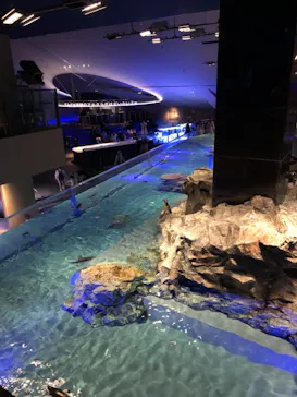 すみだ水族館に投稿された画像（2021/4/3）