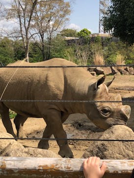 よこはま動物園ズーラシアに投稿された画像（2021/4/3）