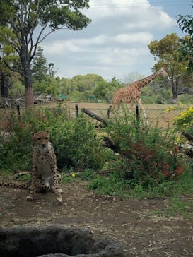 よこはま動物園ズーラシアに投稿された画像（2021/4/3）