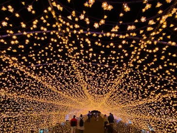 東京メガイルミに投稿された画像（2021/4/3）