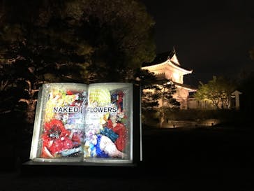 二条城×ネイキッド 二条城夏まつり2021に投稿された画像（2021/4/3）