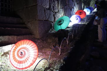 姫路城（イベント）に投稿された画像（2021/4/3）