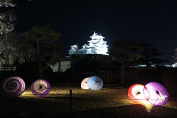 姫路城（イベント）に投稿された画像（2021/4/3）