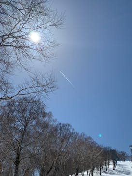 野沢温泉スキー場に投稿された画像（2021/4/3）