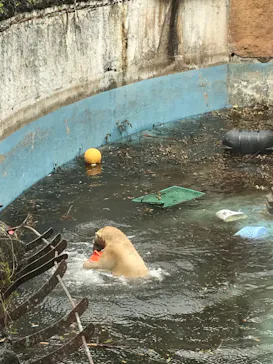 天王寺動物園に投稿された画像（2021/4/3）