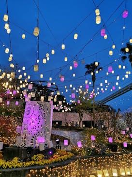 ひらかたパークに投稿された画像（2021/4/3）