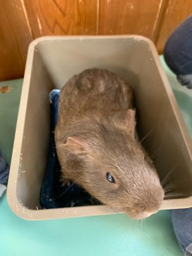 東武動物公園に投稿された画像（2021/4/3）