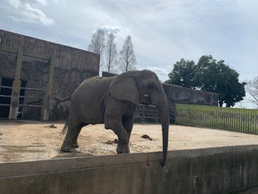 東武動物公園に投稿された画像（2021/4/3）