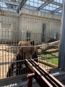 東武動物公園に投稿された画像（2021/4/3）