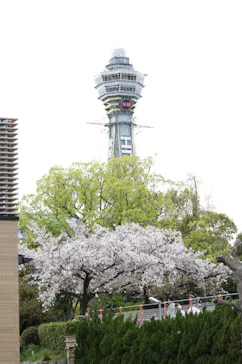 天王寺動物園に投稿された画像（2021/4/3）