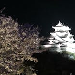 姫路城（イベント）に投稿された画像（2021/4/4）