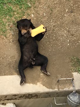 沖縄こどもの国に投稿された画像（2021/4/3）