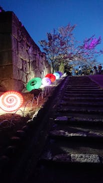 姫路城（イベント）に投稿された画像（2021/4/3）