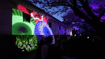 姫路城（イベント）に投稿された画像（2021/4/3）