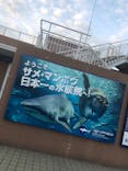 アクアワールド茨城県大洗水族館に投稿された画像（2021/4/4）
