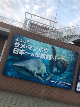 アクアワールド茨城県大洗水族館に投稿された画像（2021/4/4）