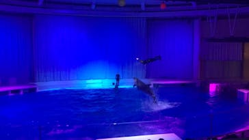 アクアワールド茨城県大洗水族館に投稿された画像（2021/4/4）