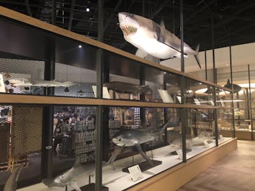 アクアワールド茨城県大洗水族館に投稿された画像（2021/4/4）