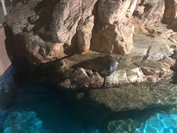 アクアワールド茨城県大洗水族館に投稿された画像（2021/4/4）