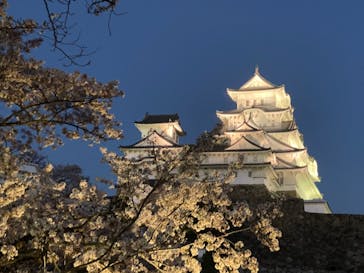 姫路城（イベント）に投稿された画像（2021/4/4）