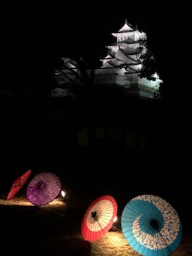 姫路城（イベント）に投稿された画像（2021/4/4）