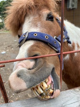 伊豆アニマルキングダムに投稿された画像（2021/4/4）