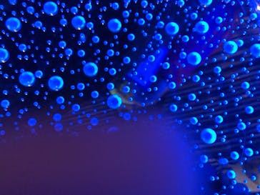 島根県立 しまね海洋館に投稿された画像（2021/4/4）