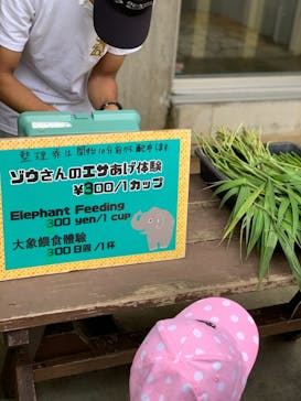 沖縄こどもの国に投稿された画像（2021/4/4）