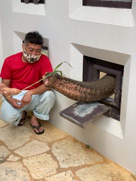 沖縄こどもの国に投稿された画像（2021/4/4）