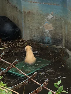 天王寺動物園に投稿された画像（2021/4/4）