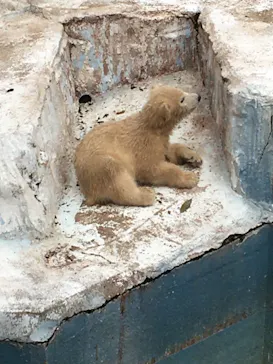 天王寺動物園に投稿された画像（2021/4/4）