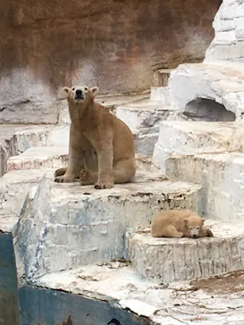 天王寺動物園に投稿された画像（2021/4/4）