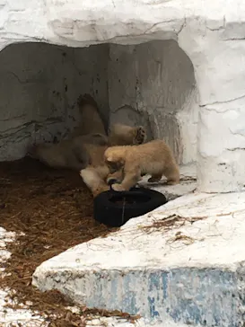 天王寺動物園に投稿された画像（2021/4/4）