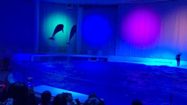 アクアワールド茨城県大洗水族館に投稿された画像（2021/4/4）