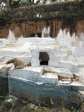天王寺動物園に投稿された画像（2021/4/4）
