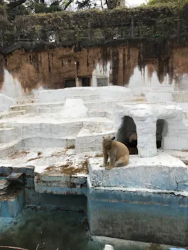 天王寺動物園に投稿された画像（2021/4/4）