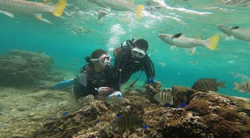 青の洞窟専門店　沖縄ダイビングショップ和に投稿された画像（2021/4/4）