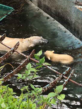 天王寺動物園に投稿された画像（2021/4/4）