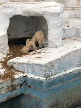 天王寺動物園に投稿された画像（2021/4/4）
