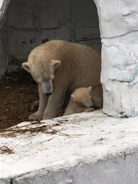 天王寺動物園に投稿された画像（2021/4/4）