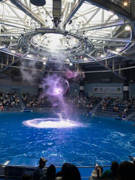 マクセル アクアパーク品川に投稿された画像（2021/4/3）