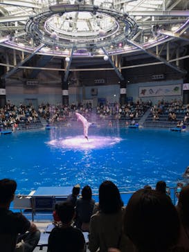 マクセル アクアパーク品川に投稿された画像（2021/4/3）